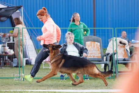 Зависть Богов Флагман